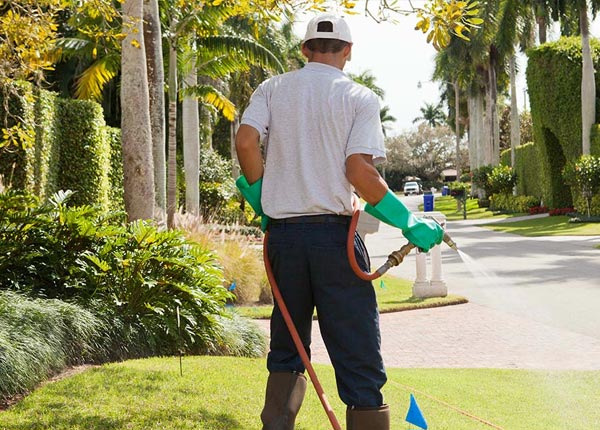 About Houstonia MO Pest Control